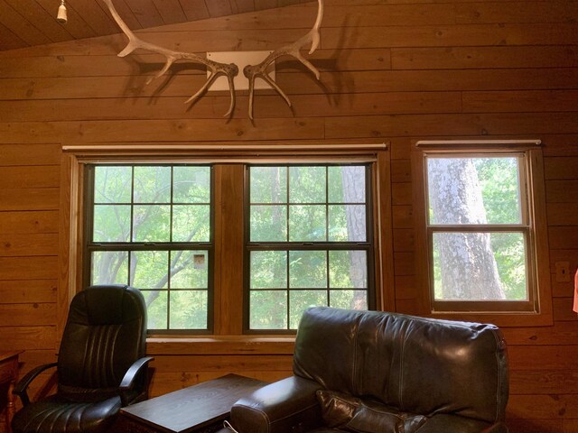 interior space featuring wood walls and lofted ceiling