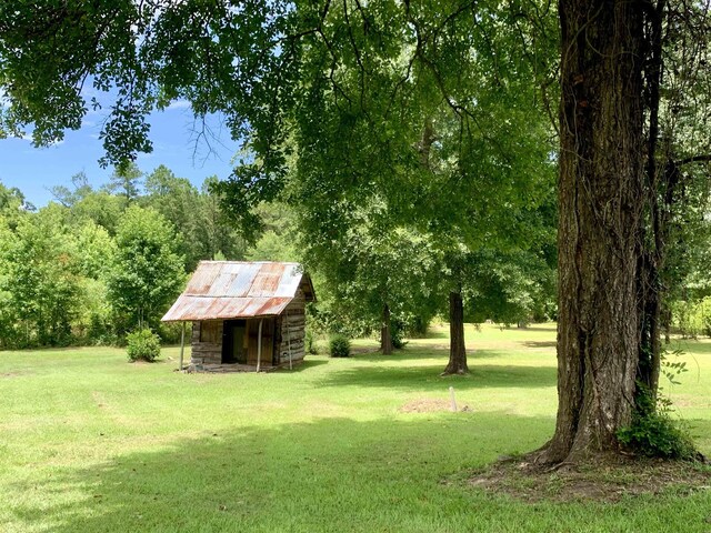 view of yard featuring a shed