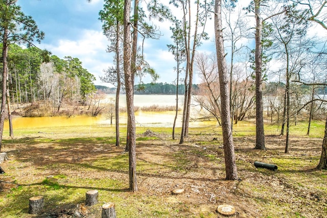 view of yard with a water view