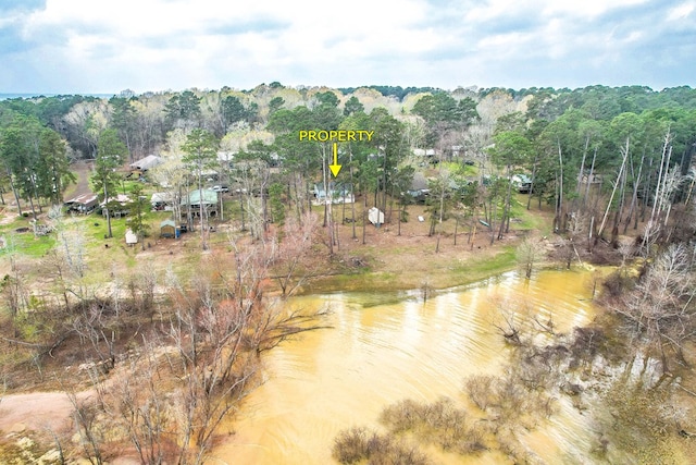 property view of water featuring a view of trees