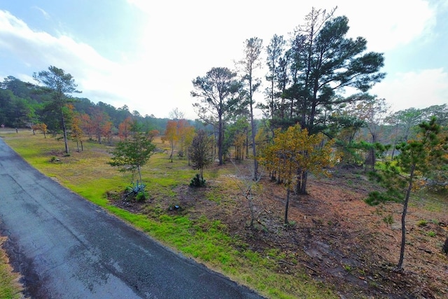 Listing photo 3 for 147 Sunset, Burkeville TX 75932