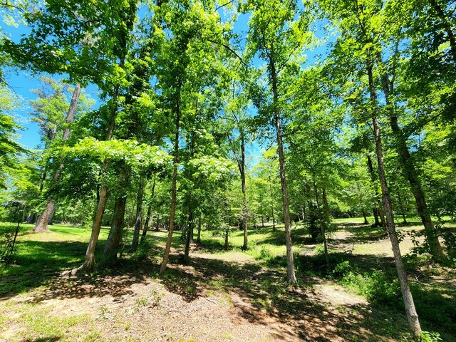 155 G R Bryan Ln, Hemphill, TX 75948 - photo 67