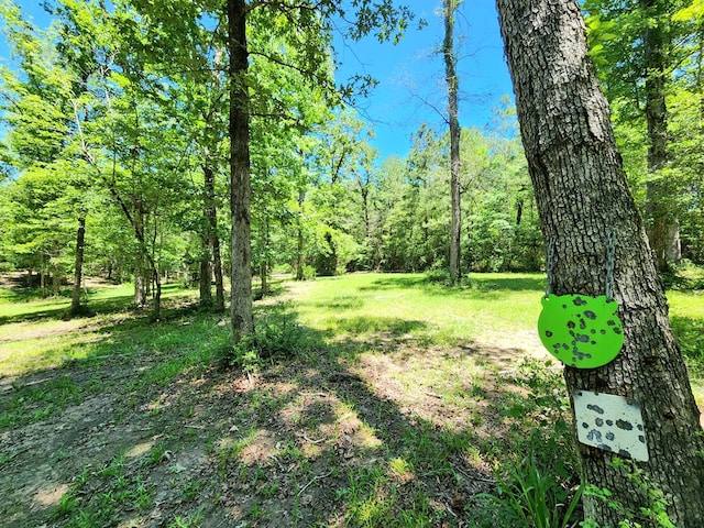 155 G R Bryan Ln, Hemphill, TX 75948 - photo 64