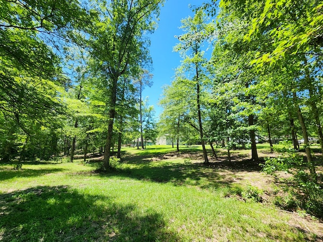 155 G R Bryan Ln, Hemphill, TX 75948 - photo 60