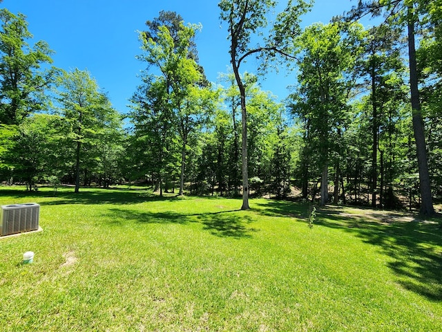 155 G R Bryan Ln, Hemphill, TX 75948 - photo 39