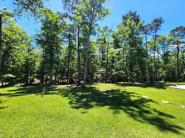155 G R Bryan Ln, Hemphill, TX 75948 - photo 41