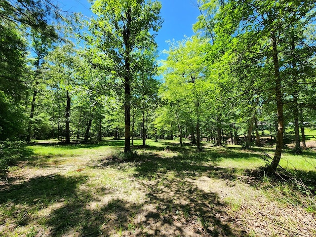 155 G R Bryan Ln, Hemphill, TX 75948 - photo 63