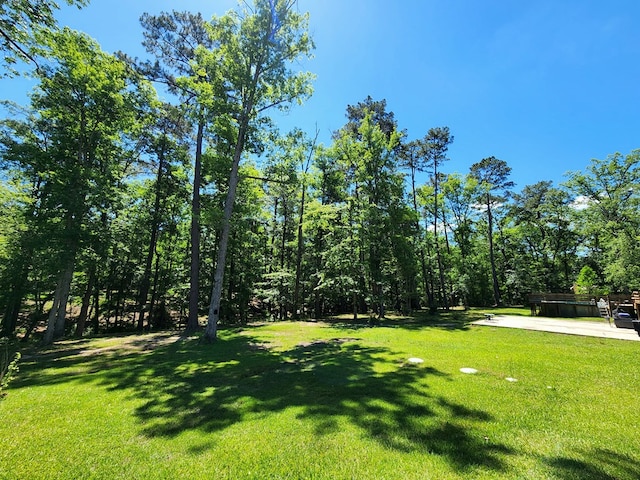 155 G R Bryan Ln, Hemphill, TX 75948 - photo 42