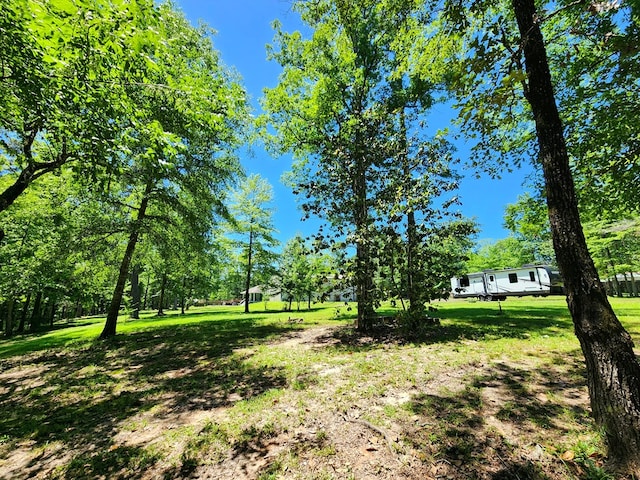 155 G R Bryan Ln, Hemphill, TX 75948 - photo 59