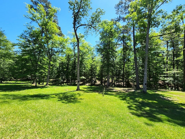 155 G R Bryan Ln, Hemphill, TX 75948 - photo 40