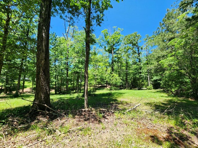 155 G R Bryan Ln, Hemphill, TX 75948 - photo 62