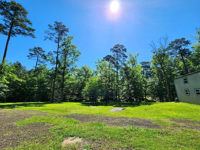 155 G R Bryan Ln, Hemphill, TX 75948 - photo 36