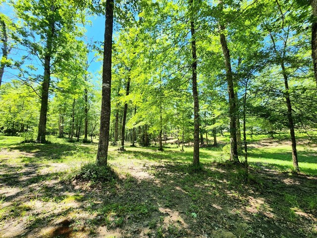 155 G R Bryan Ln, Hemphill, TX 75948 - photo 61
