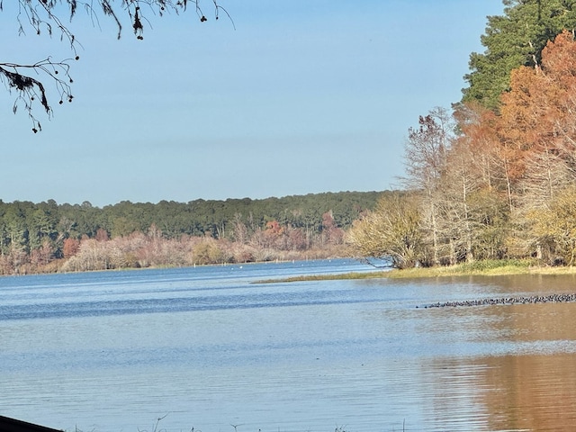 230 Dogwood Ests, Hemphill, TX 75948 - property view of water featuring a wooded view
