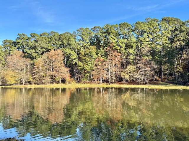 230 Dogwood Ests, Hemphill, TX 75948 - property view of water with a wooded view