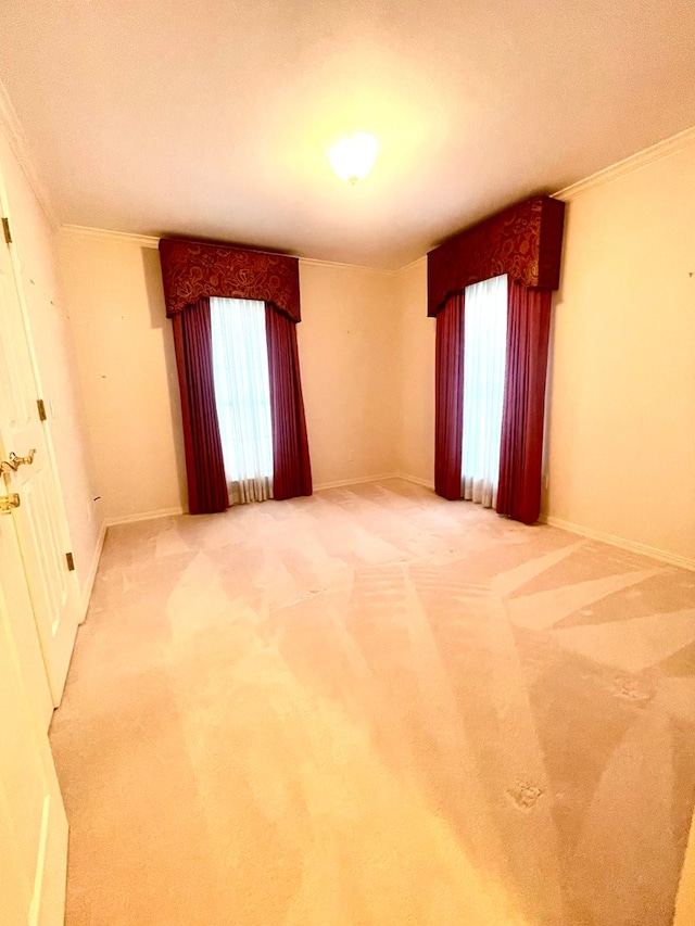 empty room with ornamental molding, carpet, and plenty of natural light