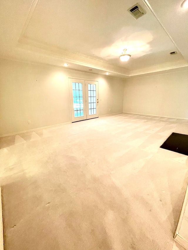 empty room with a tray ceiling and carpet floors