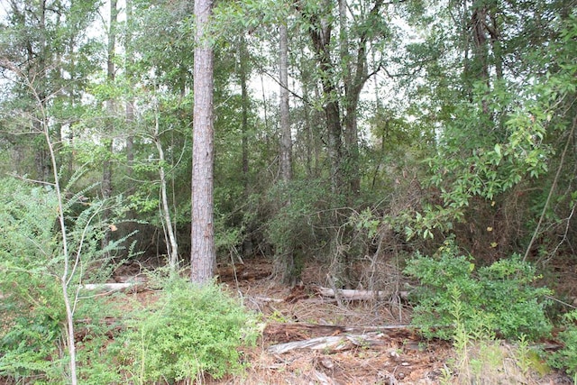 10675 County Road 317, Kirbyville TX, 75956 land for sale