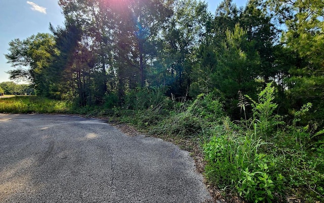 297 White Oak Ln, Lufkin, TX 75904