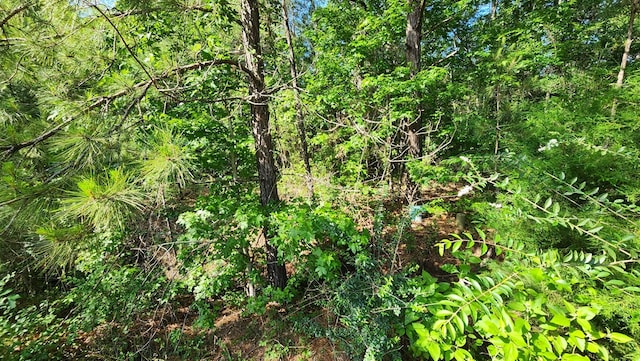 297 White Oak Ln, Lufkin, TX 75904