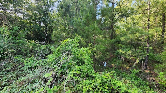 297 White Oak Ln, Lufkin, TX 75904