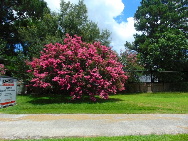 3198 Old Union Rd, Lufkin, TX 75904 - view of yard