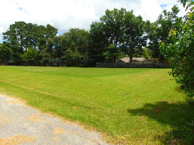 3198 Old Union Rd, Lufkin, TX 75904 - view of yard