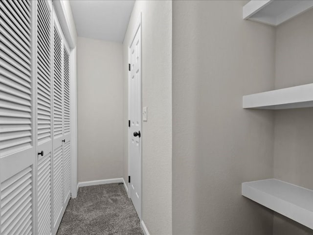 3202 Chimney Rock Ln, Nacogdoches, TX 75965 - hallway with carpet floors and baseboards