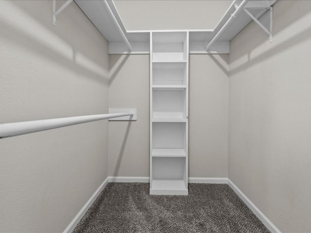 3202 Chimney Rock Ln, Nacogdoches, TX 75965 - walk in closet featuring carpet