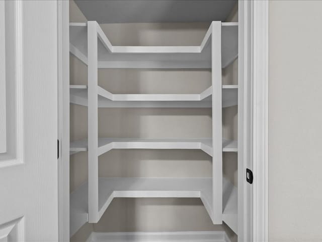 3202 Chimney Rock Ln, Nacogdoches, TX 75965 - view of pantry
