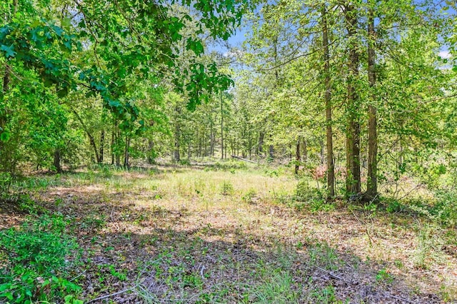 203 Black Squirrel, Brookeland TX, 75931 land for sale