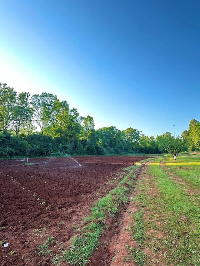 785 County Road 105, San Augustine, TX 75972 - view of road