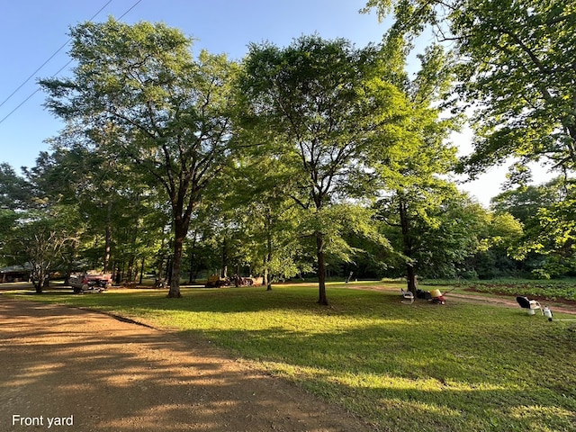 785 County Road 105, San Augustine, TX 75972 - surrounding community featuring a lawn