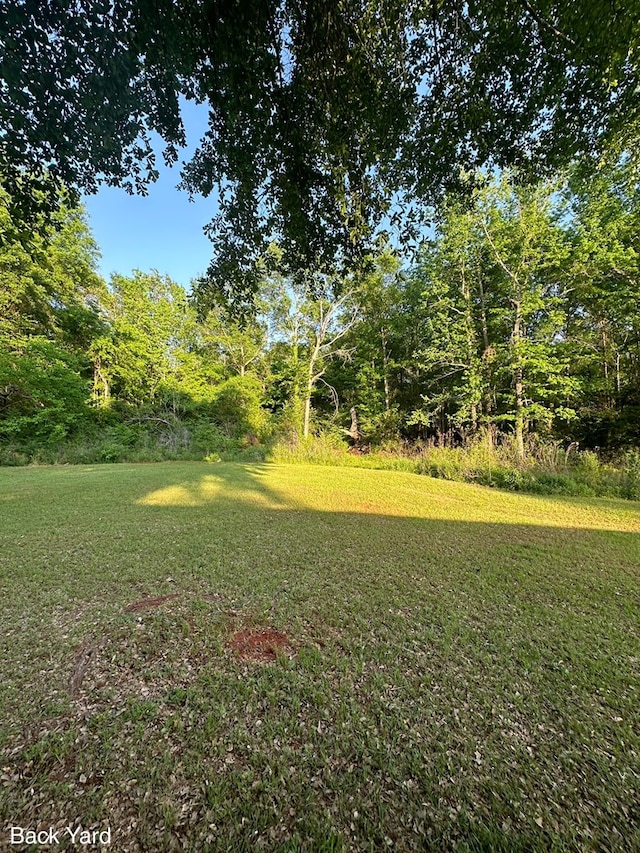 785 County Road 105, San Augustine, TX 75972 - view of yard