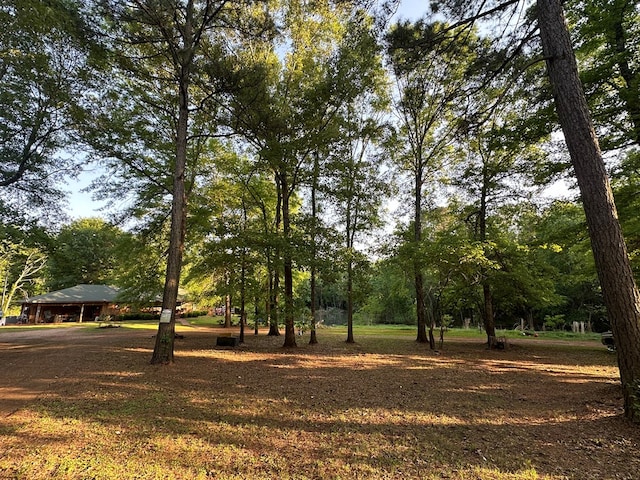 785 County Road 105, San Augustine, TX 75972 - view of yard