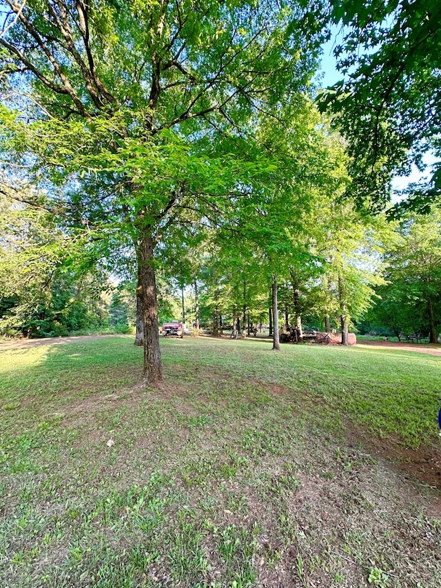 785 County Road 105, San Augustine, TX 75972 - view of yard