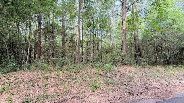 R008027 County Road 20, Jasper, TX 75951