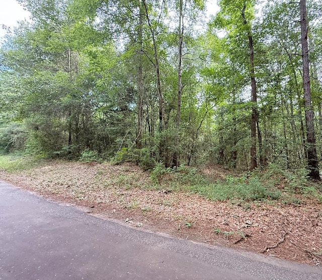 R008027 County Road 20, Jasper, TX 75951