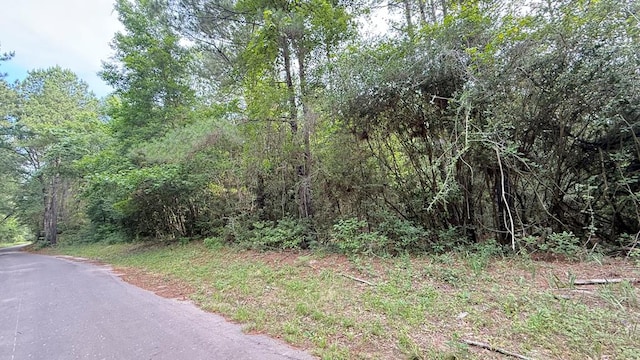 R008027 County Road 20, Jasper, TX 75951