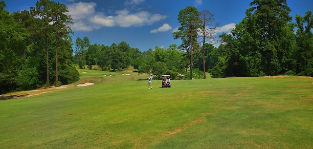 73 Red Squirrel Dr, Brookeland, TX 75931