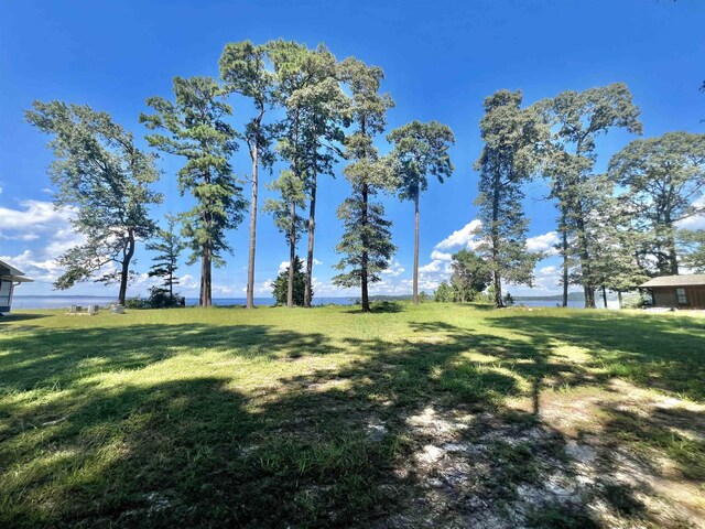 182 Confederate Loop, Hemphill, TX 75948