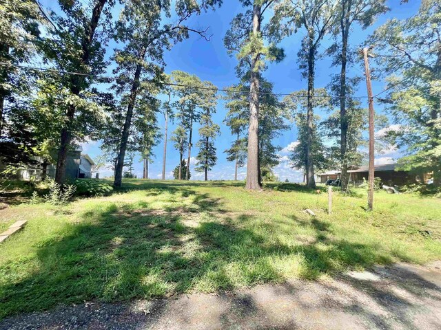 182 Confederate Loop, Hemphill, TX 75948