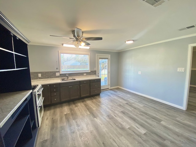 kitchen with high end stove, backsplash, sink, and light wood-type flooring