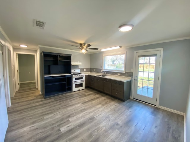 kitchen featuring ornamental molding, ceiling fan, sink, light hardwood / wood-style floors, and white gas stove