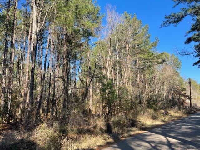 81554 Pickard Rd, Zavalla TX, 75980 land for sale