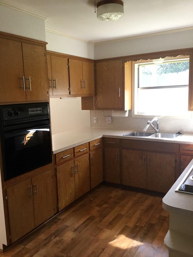 kitchen with sink, dark wood-type flooring, and black appliances