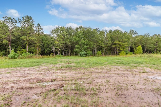 6162 Fm 58, Lufkin, TX 75901 - photo 13