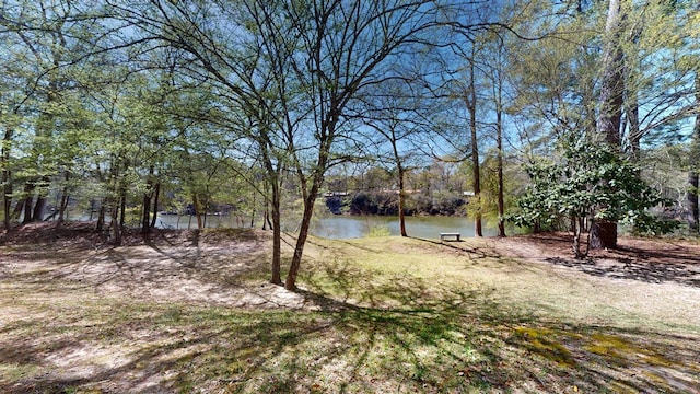 view of yard featuring a water view