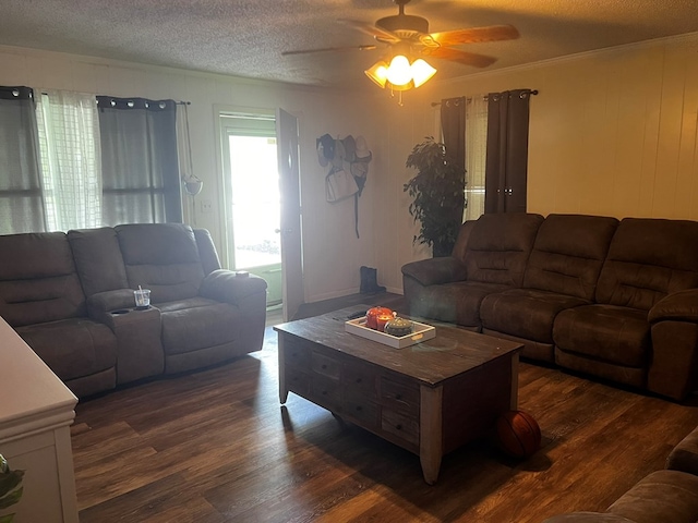 1101 Renfro Dr, Lufkin, TX 75901 - living area featuring ceiling fan, dark wood-type flooring, a textured ceiling, and crown molding