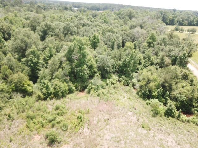 1565 County Road 3102, Call, TX 75933 - photo 24
